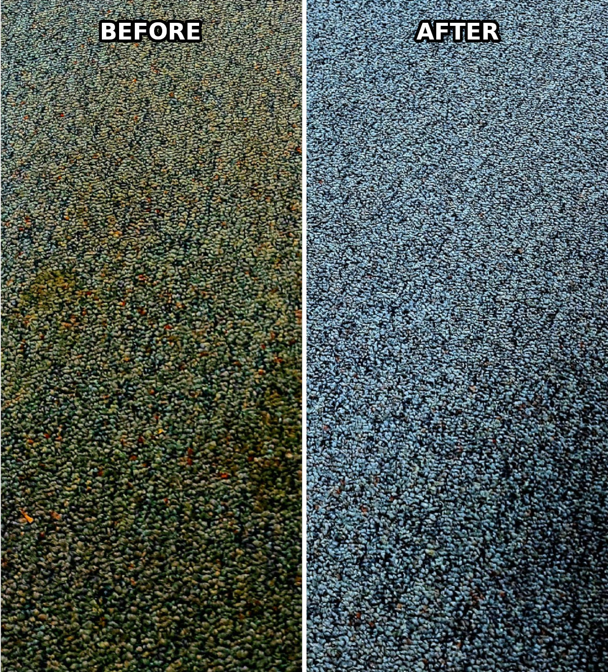 before & after carpet cleaning